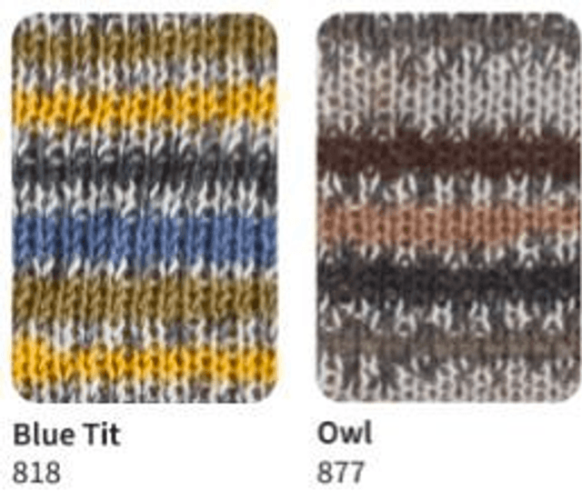 Signature 4ply Sock Yarn The Birds Collection