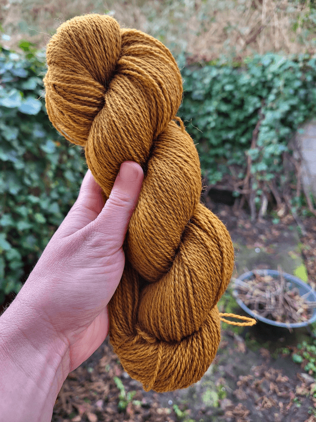 4ply The Clan Collection