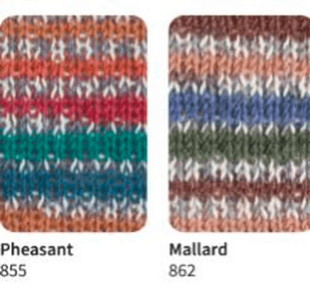Signature 4ply Sock Yarn The Birds Collection