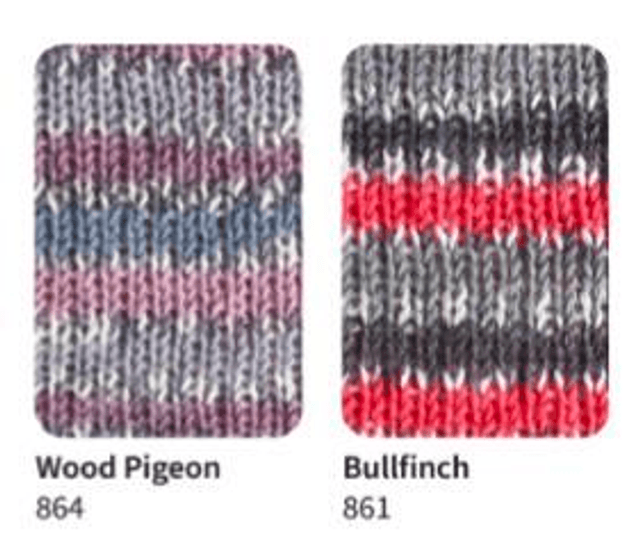 Signature 4ply Sock Yarn The Birds Collection